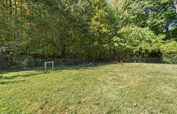 Dog park